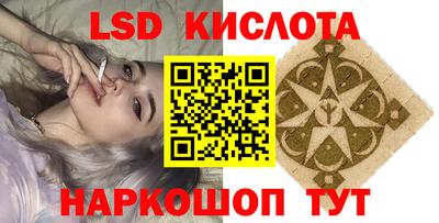 гидропоника Будённовск
