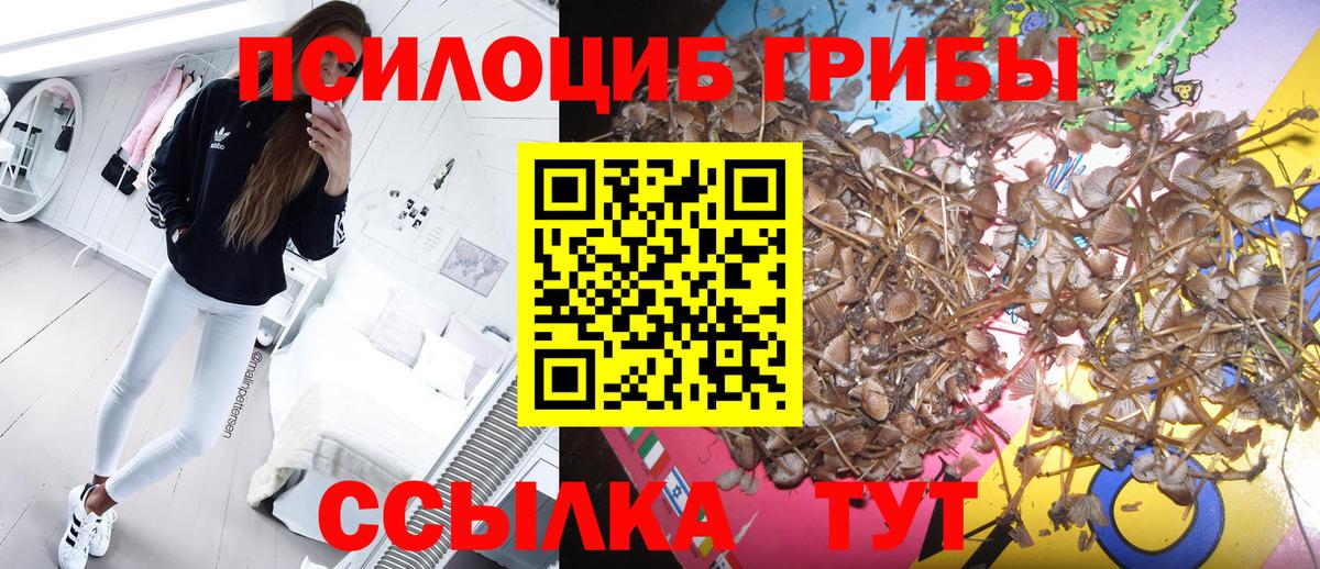 Псилоцибиновые грибы MAGIC MUSHROOMS Лангепас